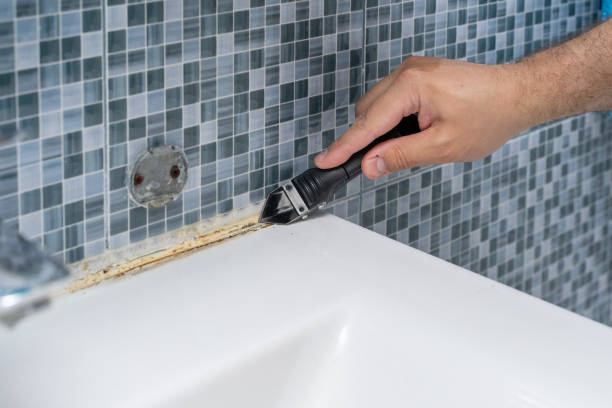 Best Black Mold Remediation in Tuckerton, NJ