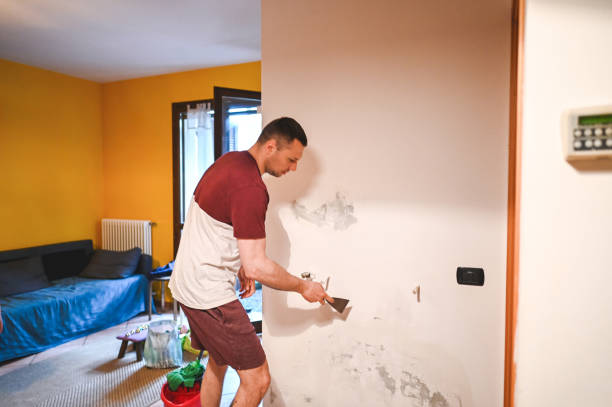 Best Commercial Mold Remediation in Tuckerton, NJ